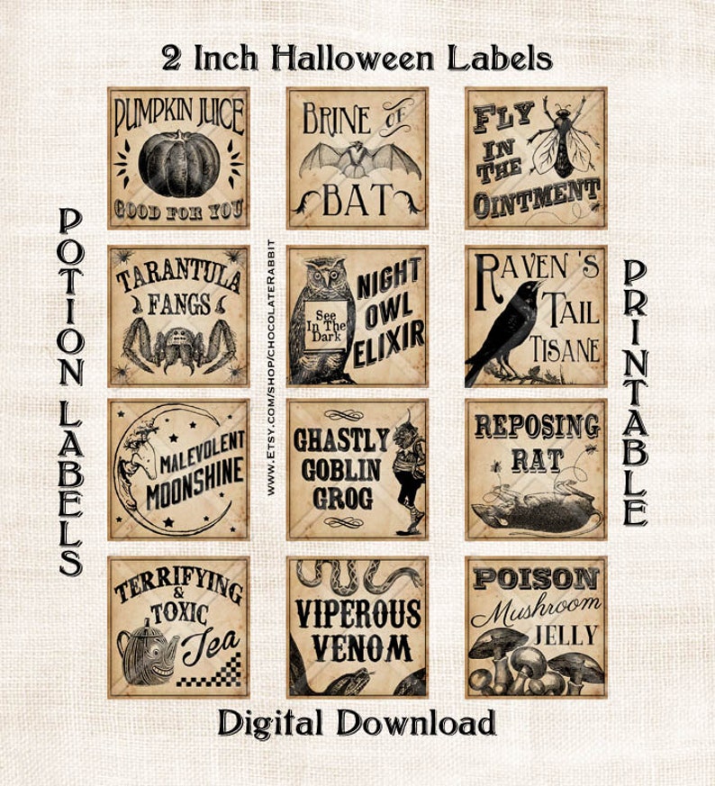 Witch s Potion Labels Printables Printable World Holiday
