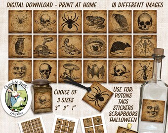 Vintage Halloween Potion Labels: Printable Collage Sheet (Digital Download)