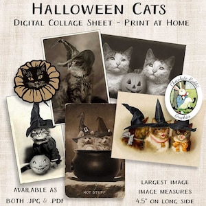 ClipArt di gatto di Halloween, foglio di collage stampabile del diario spazzatura, clipart digitale di Halloween, cartoline di gatto vintage