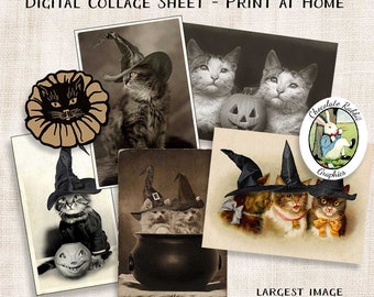 Könnte beinhalten: Ein digitales Collage-Blatt mit Vintage-Bildern von Katzen in Halloween-Kostümen. Das Blatt enthält Bilder von Katzen, die Hexenhüte tragen, Kürbisse halten und in einem Kessel sitzen. Das größte Bild misst 11,4 cm auf der langen Seite. Das Blatt ist sowohl als JPG- als auch als PDF-Datei verfügbar.