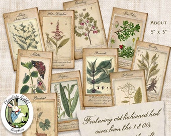 Vintage Garden Herbal Junk Journal Cards, Digital Download , Herbs and Flowers, Printable Floral Scrapbook, Journal Ephemera