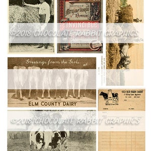 May include: A vintage collage of images featuring cows, farm scenes, and a dairy advertisement. The images are in black and white and sepia tones, giving a nostalgic feel. The text in the images includes "Greetings from the Girls at Elm County Dairy" and "Down on the Farm".