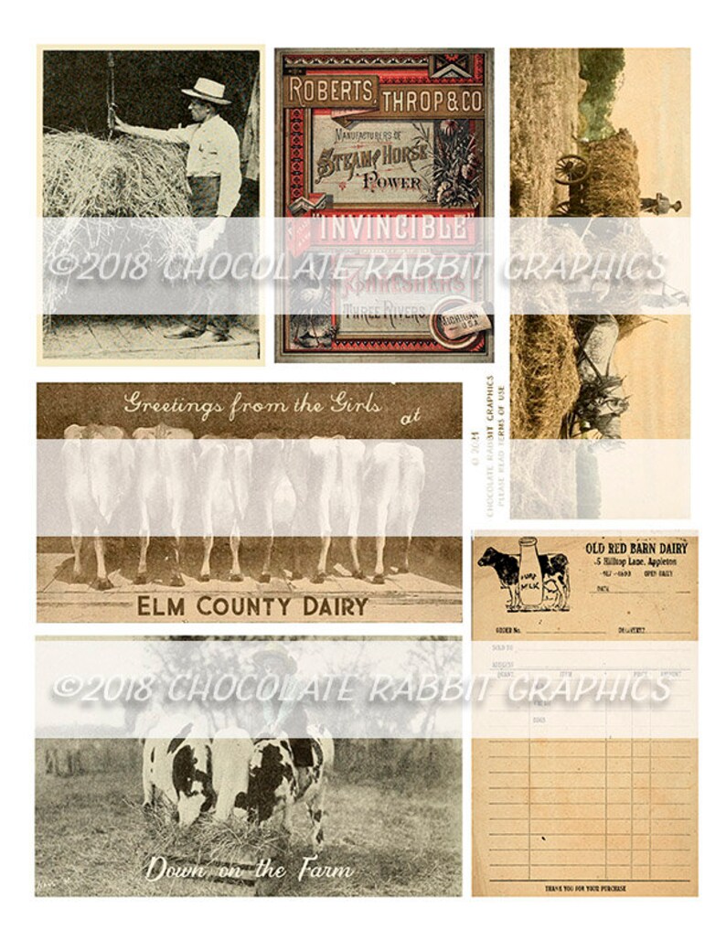 May include: A vintage collage of images featuring cows, farm scenes, and a dairy advertisement. The images are in black and white and sepia tones, giving a nostalgic feel. The text in the images includes "Greetings from the Girls at Elm County Dairy" and "Down on the Farm".