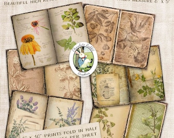 Vintage Garden Herbal Pages, Digital Junk Journal Herbs and Flowers, Printable Floral, Shabby Scrapbook Ephemera