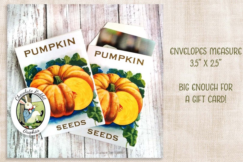 Vintage Pumpkin Seed Packet Digital Download Printable Etsy México