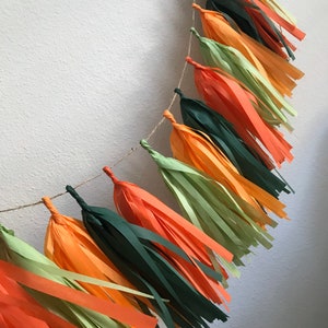 Tassel Garland / tassle garland / tassel banner  Tissue Paper garland- ANY COLOR you choose, orange , green, tangerine, summer, cutie, navel