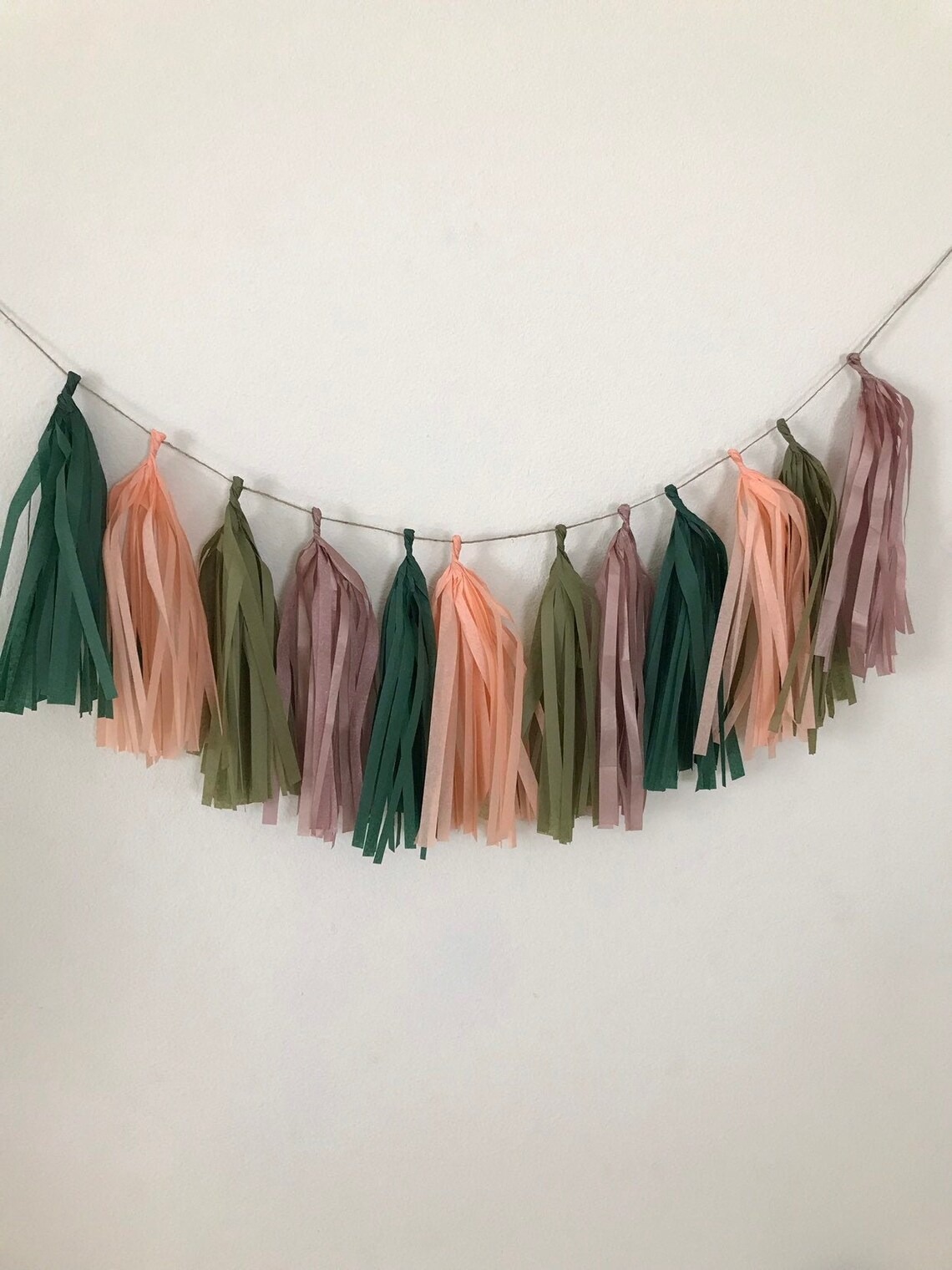 Tassel Garland / Tassle Garland / Tassel Banner Tissue Paper Etsy