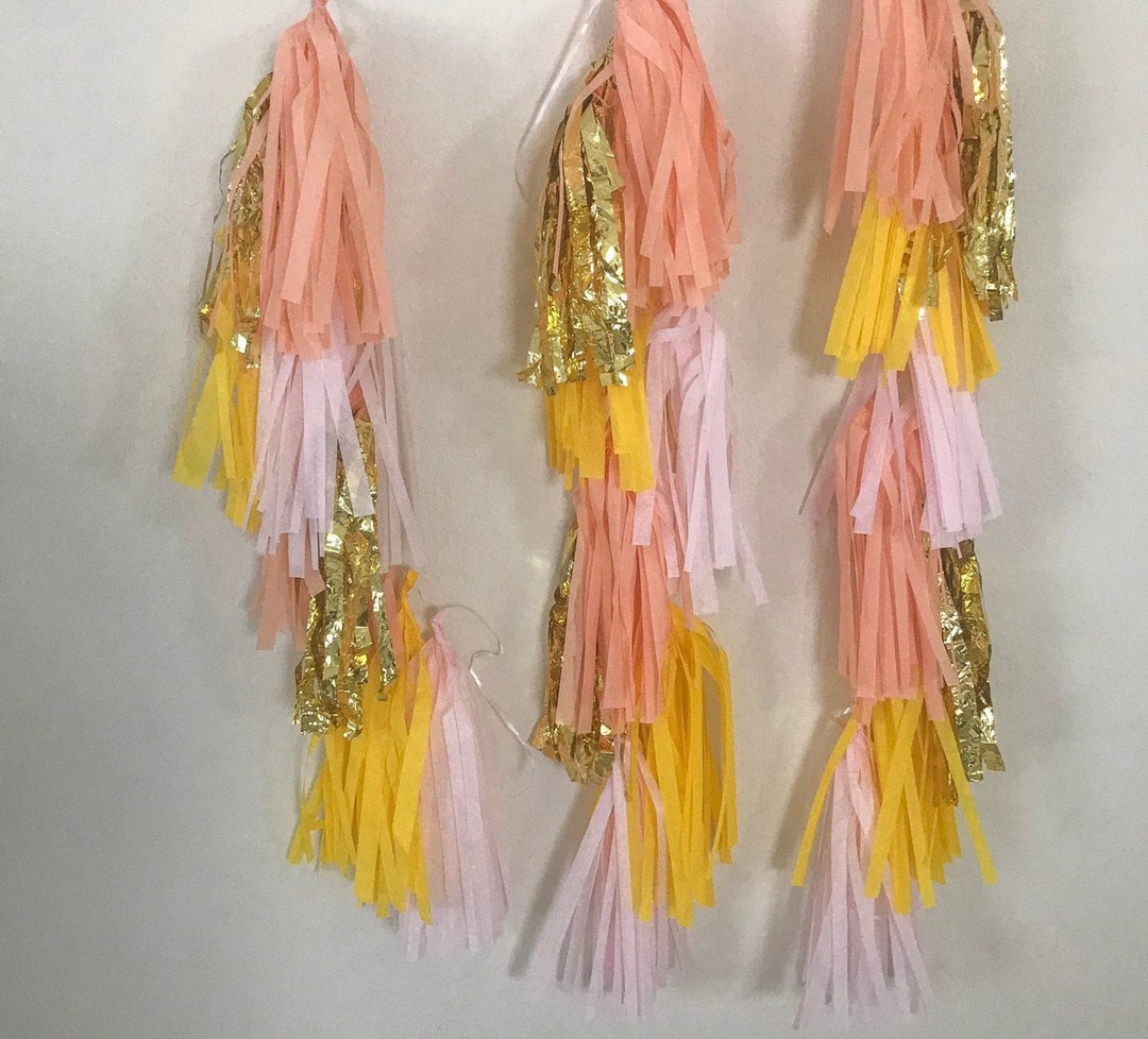 Balloon Tassel Garland / Tassle Garland / Tassel Banner Tissue Paper