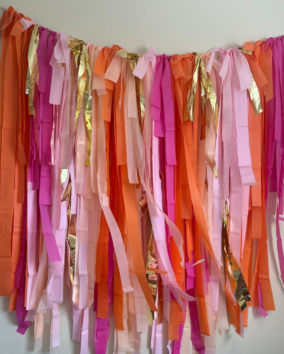Fringe Photo Backdrop / Streamer Garland Girls Streamer Etsy