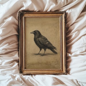 May include: A rectangular wall art piece featuring a detailed charcoal drawing of a black crow standing in profile. The artwork is encased in an ornate, metallic gold-toned frame with intricate embossed detailing along the outer edges.