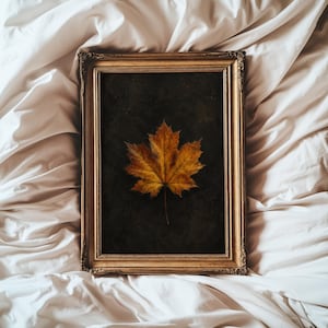 May include: A rectangular wall art piece featuring a single golden-brown maple leaf centered on a dark, textured background. The artwork is enclosed in an ornate, metallic gold frame with intricate detailing along the edges of the border.