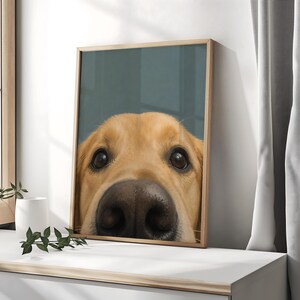 Puede incluir: Una impresi&oacute;n de arte mural enmarcada que presenta una ilustraci&oacute;n en primer plano de la cara de un perro golden retriever. El perro tiene pelaje dorado claro, ojos marr&oacute;n oscuro y una nariz oscura grande y prominente centrada en un fondo azul.