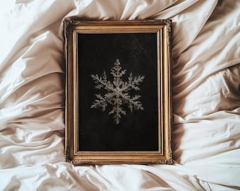 May include: A rectangular gold-toned ornate frame containing a black background with a single, detailed, silver-colored snowflake illustration centered within the frame. The frame features intricate carvings along its edges and corners.