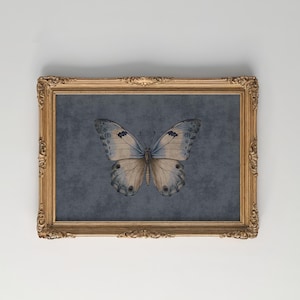 Blue Cottagecore Butterfly Painting