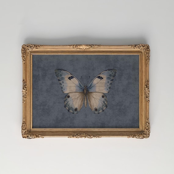 Blue Cottagecore Butterfly Painting | Academic Butterfly Artwork | Butterfly Farmhouse Wall Print for Home and Cottage
