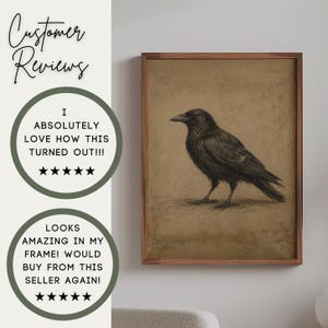 Reviews