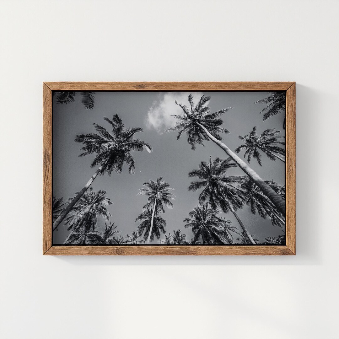 Black and White Palm Tree Print | Tropical Palm Photography Wall Art ...
