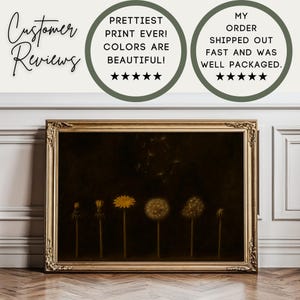 Moody Cottagecore Dandelion Painting Reviews