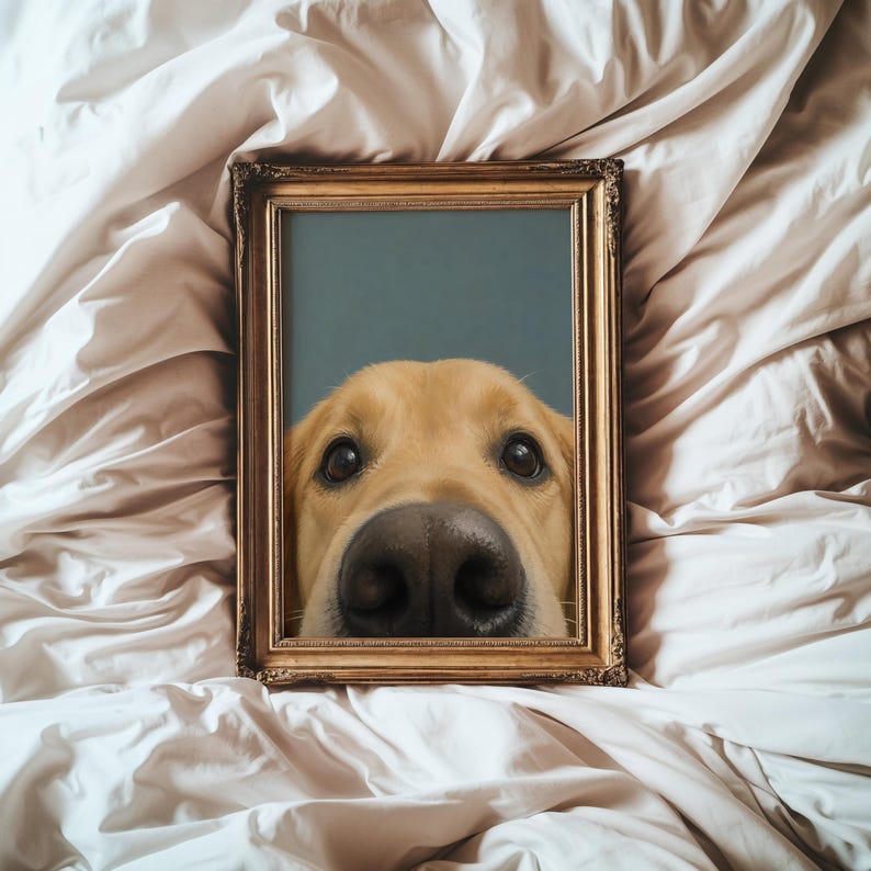 Puede incluir: Un marco de fotos rectangular con un acabado dorado ornamentado que contiene el retrato de un perro de color dorado. El perro est&aacute; colocado en la parte inferior del marco, mostrando sus ojos y una nariz grande y oscura sobre un fondo azul s&oacute;lido.