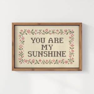 May include: A framed cross-stitch artwork with the words "YOU ARE MY SUNSHINE" in dark letters. The artwork is surrounded by a floral border in pink and green, set against a beige background.