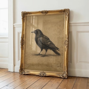 May include: A charcoal drawing of a black crow on a tan background, encased in an ornate, rectangular gold-colored frame with intricate carved detailing along the edges. The artwork is displayed in a vertical orientation with a dark bird illustration.