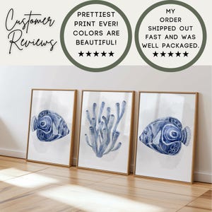Navy Blue Fish and Coral Wall Art Reviews