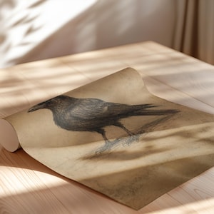 May include: A rolled sheet of tan paper featuring a detailed charcoal-style illustration of a black crow in profile. The bird is depicted standing on a textured surface, with visible feather details and a sharp beak, rendered in dark tones on parchment.