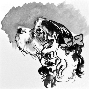 Custom Pet Portraits - by New Yorker Magazine Cartoonist, Lia Strasser