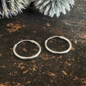 Puede incluir: Un par de pequeños pendientes de aro plateados. Los pendientes son redondos y tienen un diseño sencillo y clásico. Se muestran sobre una superficie oscura y texturizada, con un elemento floral borroso en el fondo.