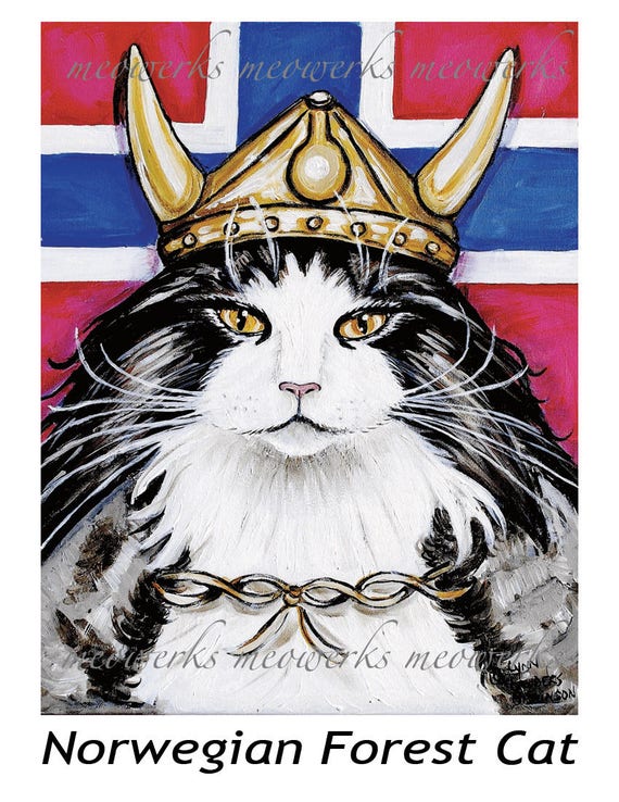 norwegian viking cat