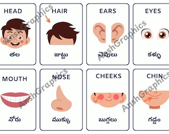Telugu Flashcards Body Parts - Etsy