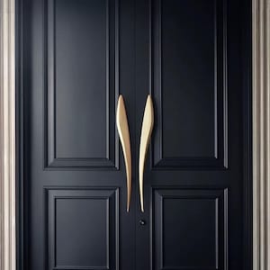 以下が含まれることがあります： 金色の曲線状のドアノブが付いた黒い二重扉