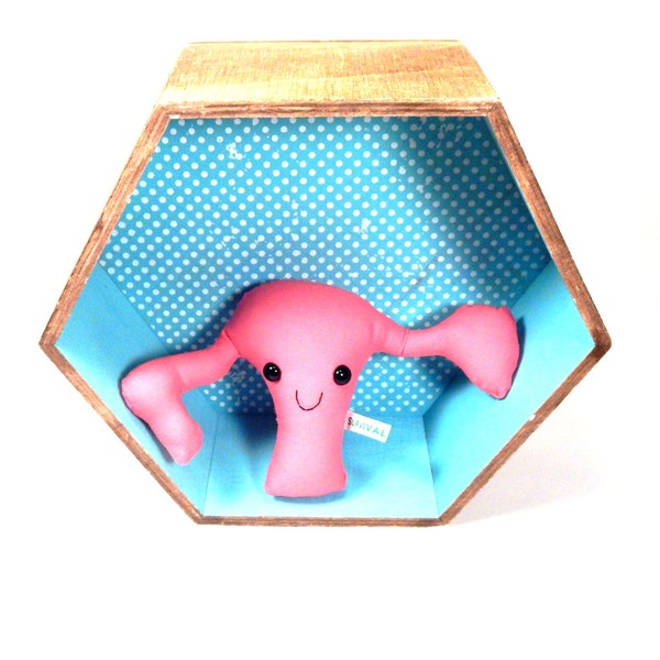 Uterus -- Medium Pink and Happy