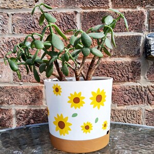 May include: A jade plant in a white ceramic pot with a brown rim. The pot has a sunflower pattern with yellow flowers and green leaves.