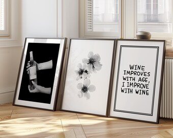 Wine Art Prints, Trendy Bar Cart Decor, Set of 3 D104