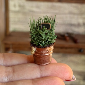 Könnte beinhalten: Miniatur-Topf in Kupferfarbe mit einer kleinen Pflanze und einem leeren Tafelschild. Der Topf hat eine Schneckenfigur an der Seite. Die Pflanze hat grüne Blätter und hohe, grasartige Halme. Miniatur-Gartenthema.