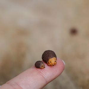 Könnte beinhalten: Zwei Miniatur-Igel-Figuren. Der größere ist etwa 2,5 cm lang, der kleinere etwa 1,5 cm. Beide haben braune, stachelige Rücken und hellbraune Gesichter. Sie liegen auf einem Finger.