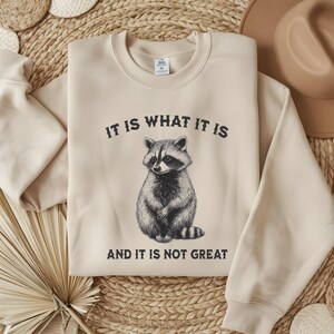 It Is What It Is And It Is Not Great Sweatshirt, Mental Health Sweatshirt, Funny Sweatshirt Women, Meme Sweatshirt, Gag Raccoon Sweatshirt