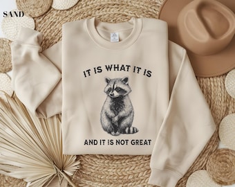 It Is What It Is And It Is Not Great Sweatshirt, Mental Health Sweatshirt, Funny Sweatshirt Women, Meme Sweatshirt, Gag Raccoon Sweatshirt