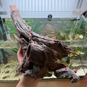 Bonsai Driftwood Aquarium Decor – Moss Tree for Fish Tank, Betta Habitat, Terrarium or Aquascaping
