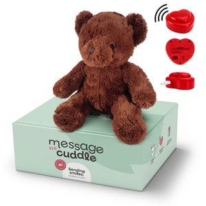 Animale di peluche con registrazione audio personale / Microfono + MP3 / 45 cm / Con la tua voce o musica / Orso bruno / Include registratore vocale