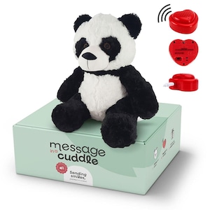 Könnte beinhalten: Ein schwarz-weißes Panda-Bär-Plüschtier sitzt auf einer hellgrünen Schachtel. Auf der Schachtel steht "message in a cuddle" mit dem Slogan "Sending smiles, packed in a box!". Ein rotes herzförmiges Gerät ist daneben abgebildet.