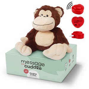 Peluche avec message vocal | Microphone + MP3 | 45 cm | Avec ta voix ou ta musique | Singe | Enregistreur vocal inclus