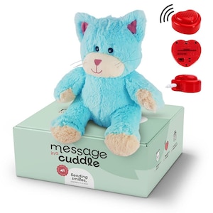 Plüschtier mit aufgezeichneter Stimme | Mikrofon + MP3 | Größe: 45 cm | Mit deiner Stimme oder Musik | Katze | Inklusive Sprachrekorder