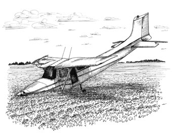 Southern Discomfort Crash Landing Aviation Airplane Drawing Print