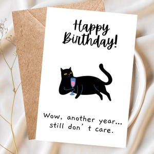 Carte d'anniversaire drôle Carte d'anniversaire chat coquin pour sa meilleure amie Carte d'anniversaire chat Carte de voeux d'anniversaire sournoise pour soeur, amoureux des chats