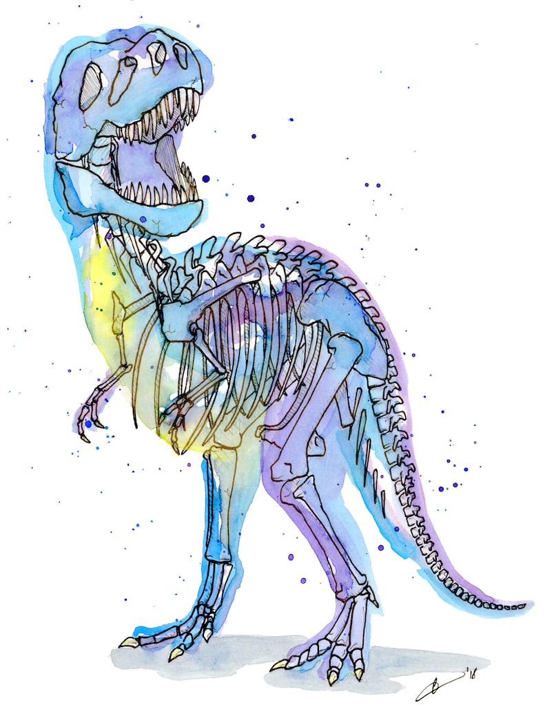 9x12 Xray Watercolor Prints Limited Edition Etsy