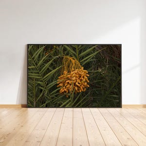 Stampa fotografica di frutti di datteri Giclée su carta - Foto artistica di frutti di datteri crudi, decorazioni per la casa - Trasformatore spaziale senza tempo - Fotografia originale