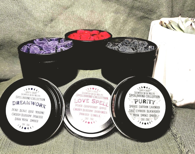 2 oz. Tinned Mini Monstera Leaf Wax Melts: Spellbound Collection