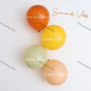 Könnte beinhalten: Vier pastellfarbene Ballons mit dem Text "Summer Vibes" in Kursivschrift darüber. Die Ballons sind: Retro Burnt Orange, Matte Lemon, Pastel Sage und Cream Peach.